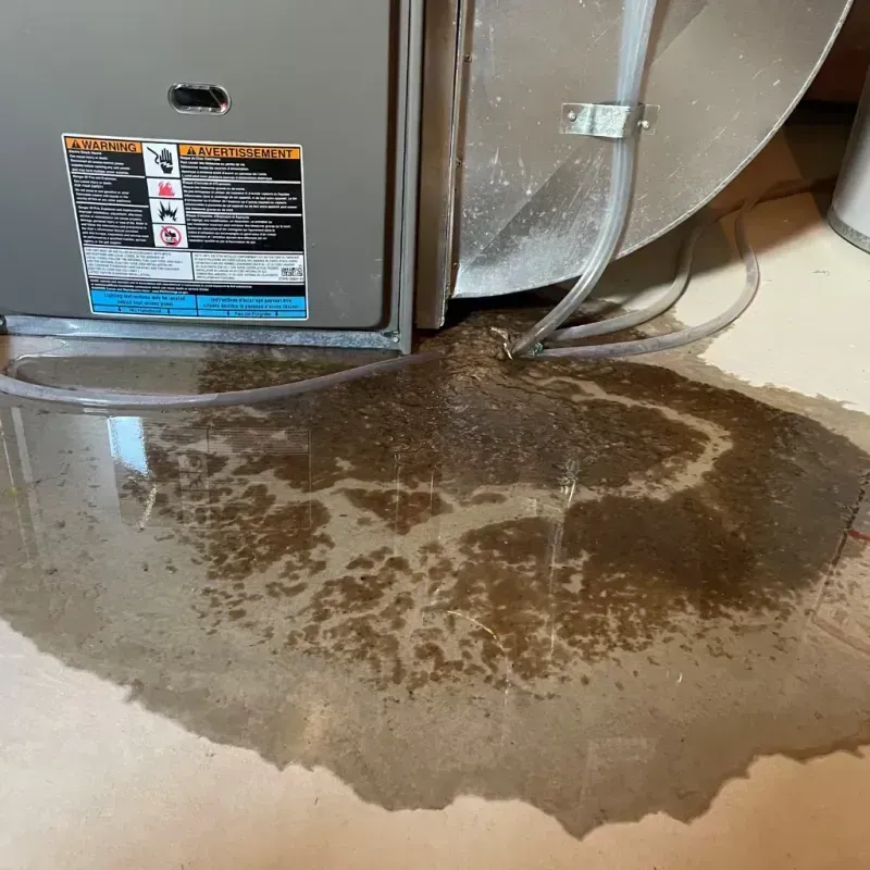 Appliance Leak Cleanup in Washington Terrace, UT